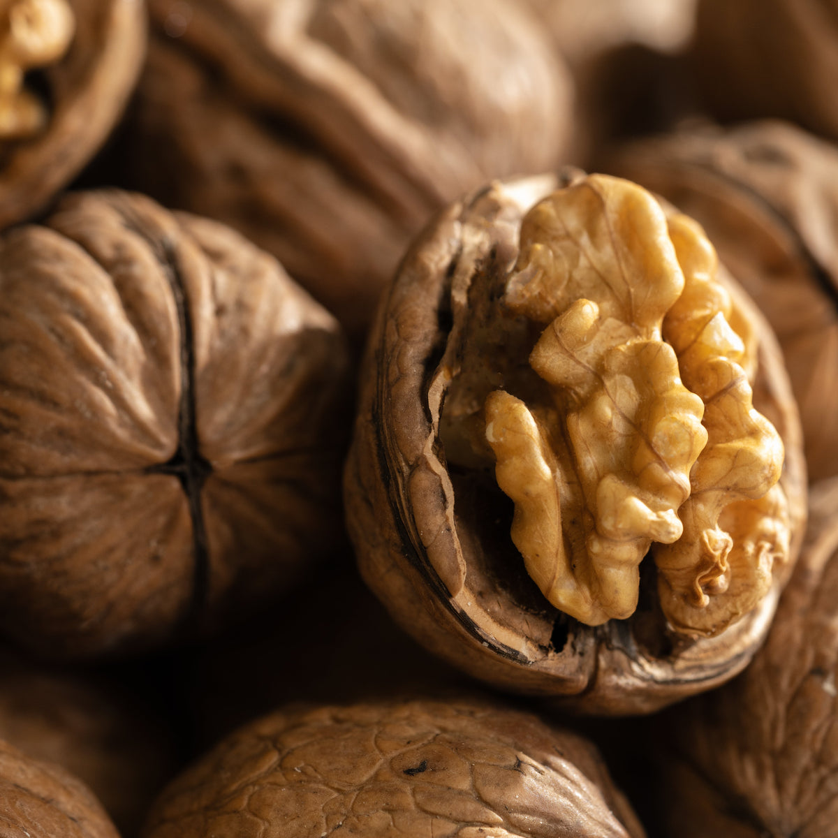 Pumpkin Spice & Black Walnut