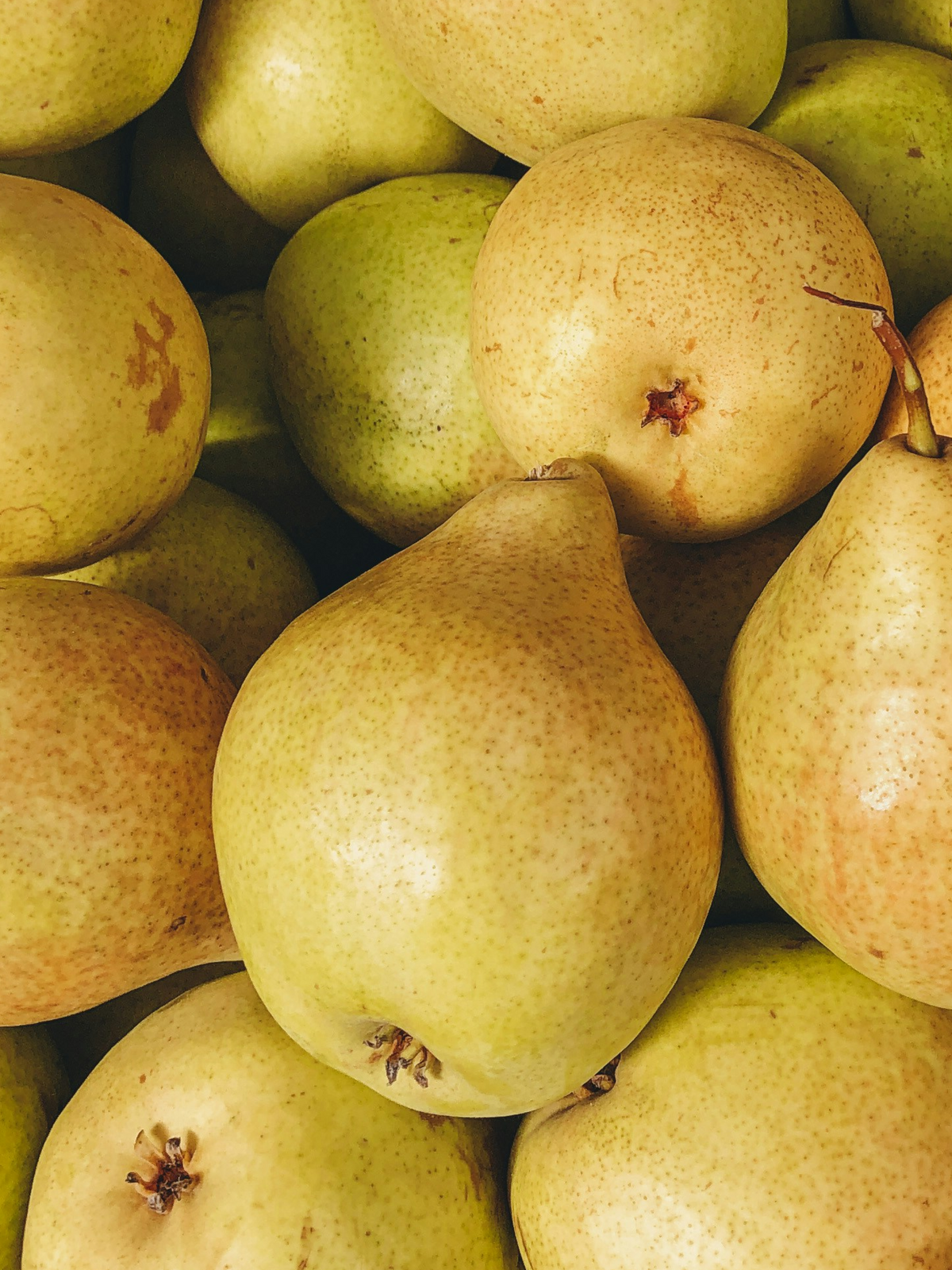 Cashmere Pear