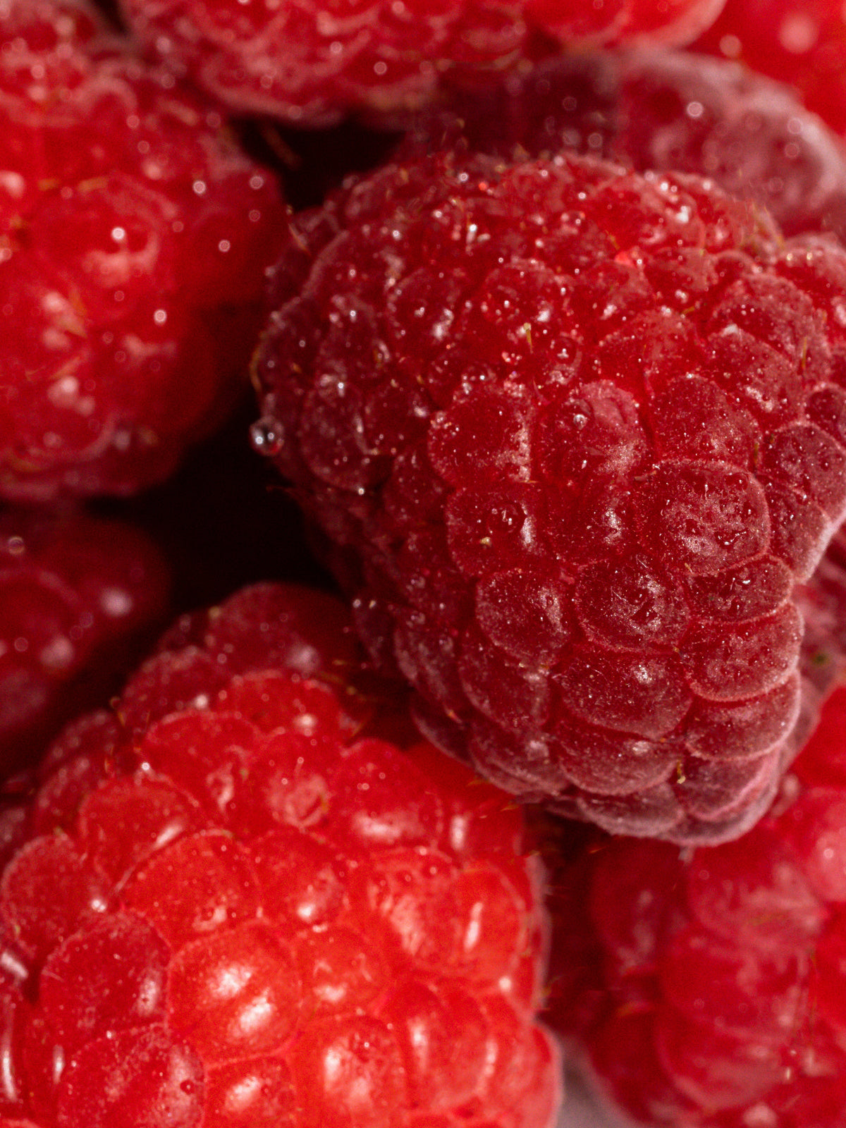 Vanilla Berry