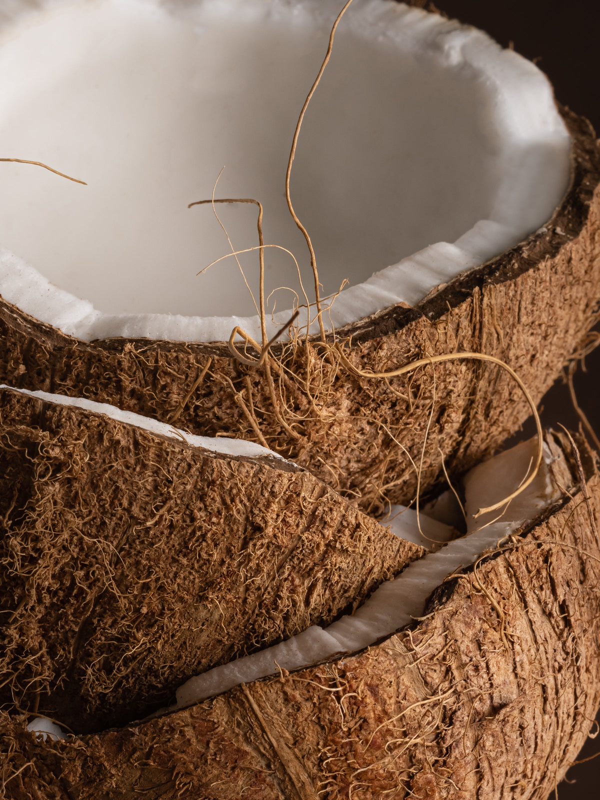 Coconut Oasis