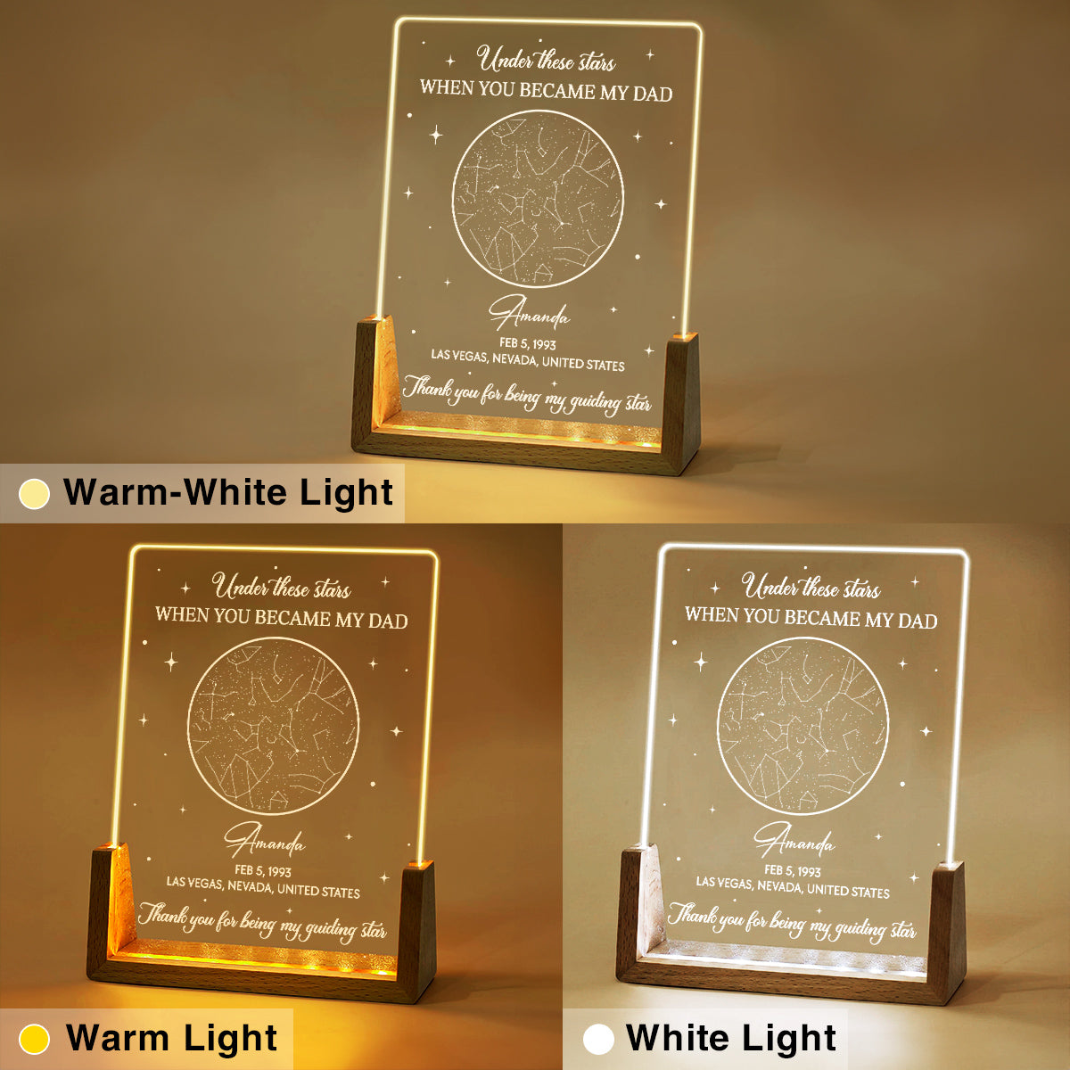 Custom Father's Day Gift for Dad Grandpa • Under These Stars - Personalized Night Light
