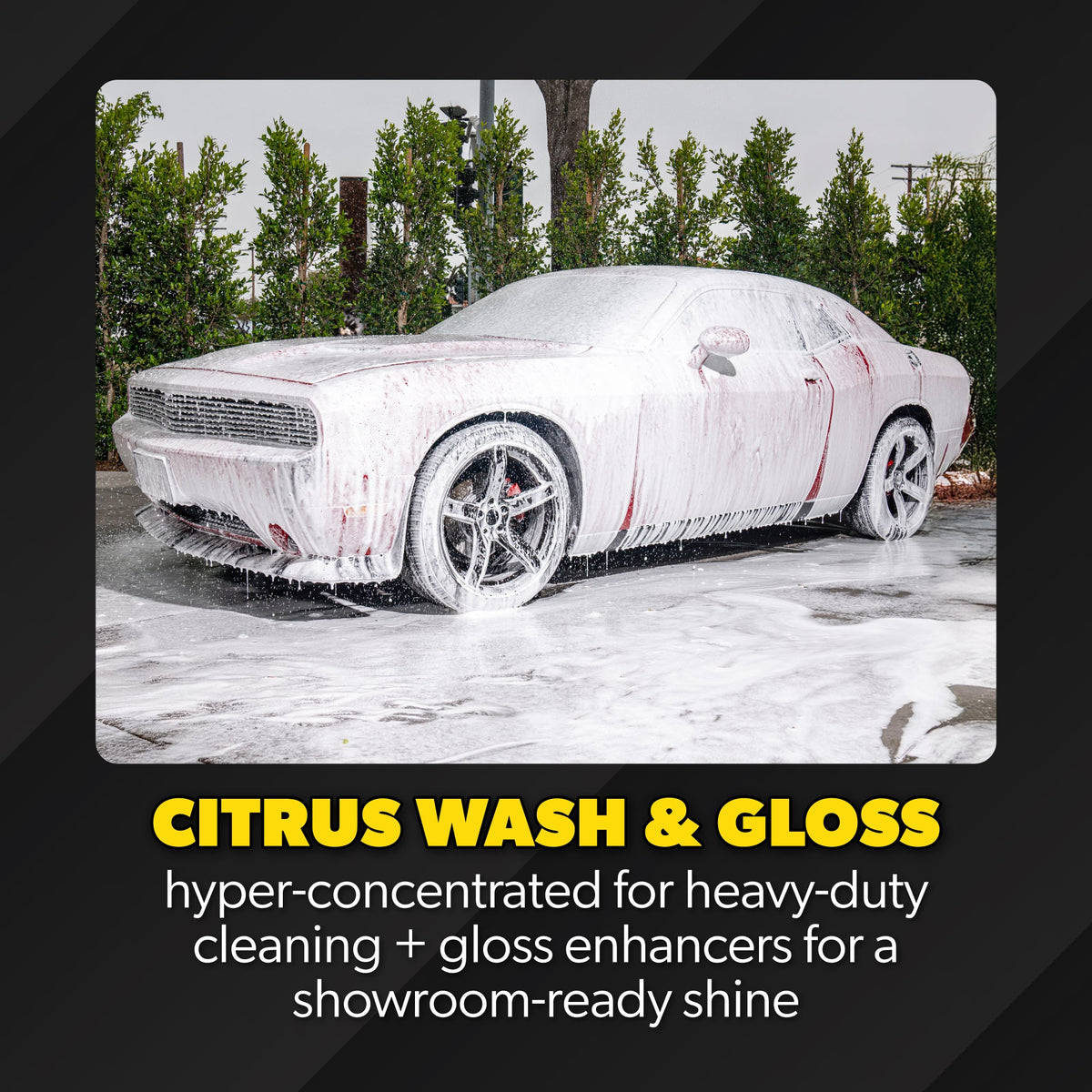 ProFlow Clean & Shine Bundle - image 4