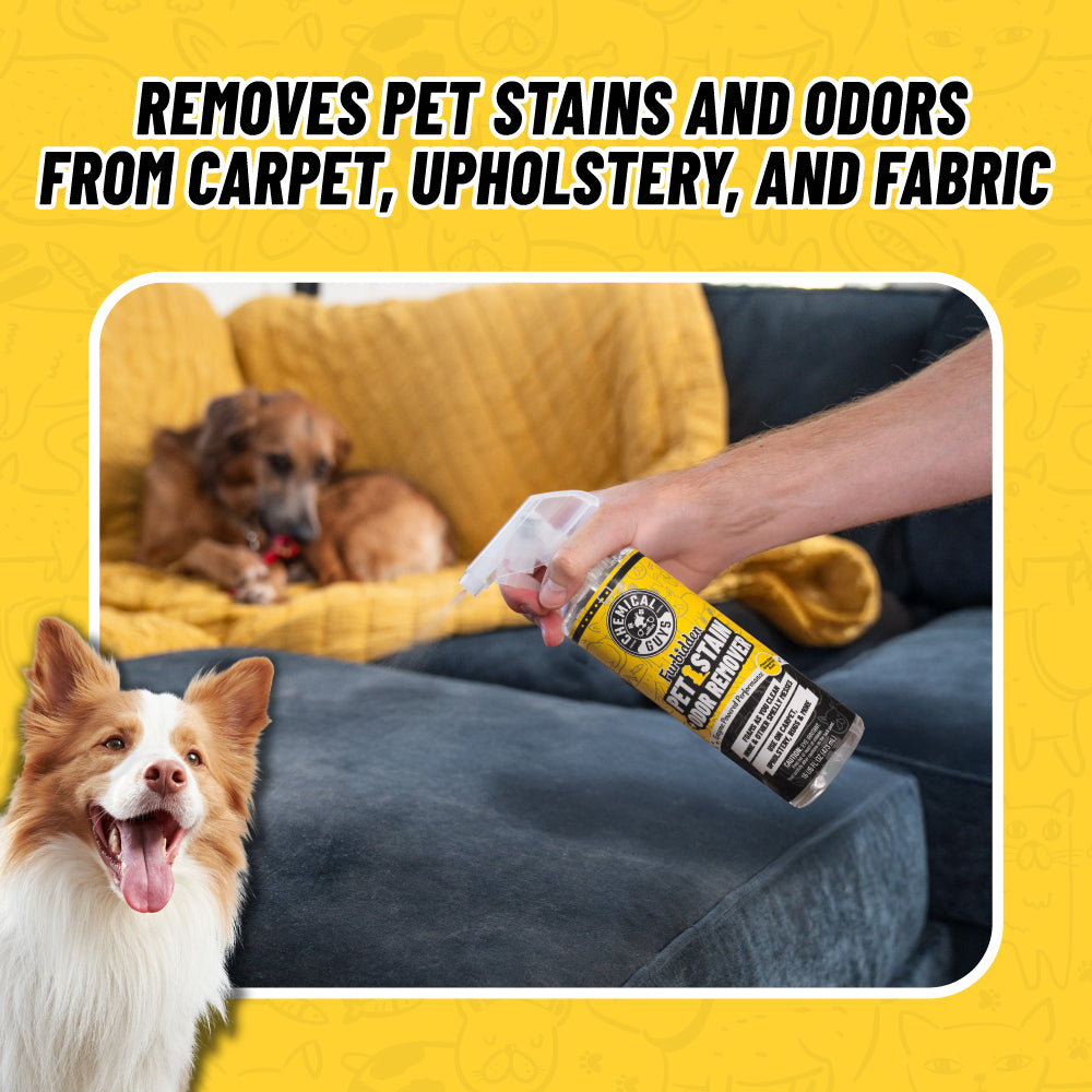 Interior Pet Mess Kit - image 6