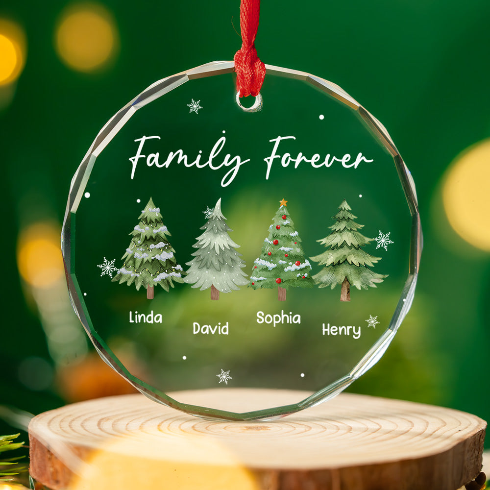 Custom Family Ornament, Christmas Gift for Family Members •  Our Friendship Sparkles Every Christmas - Personalized Glass Ornament