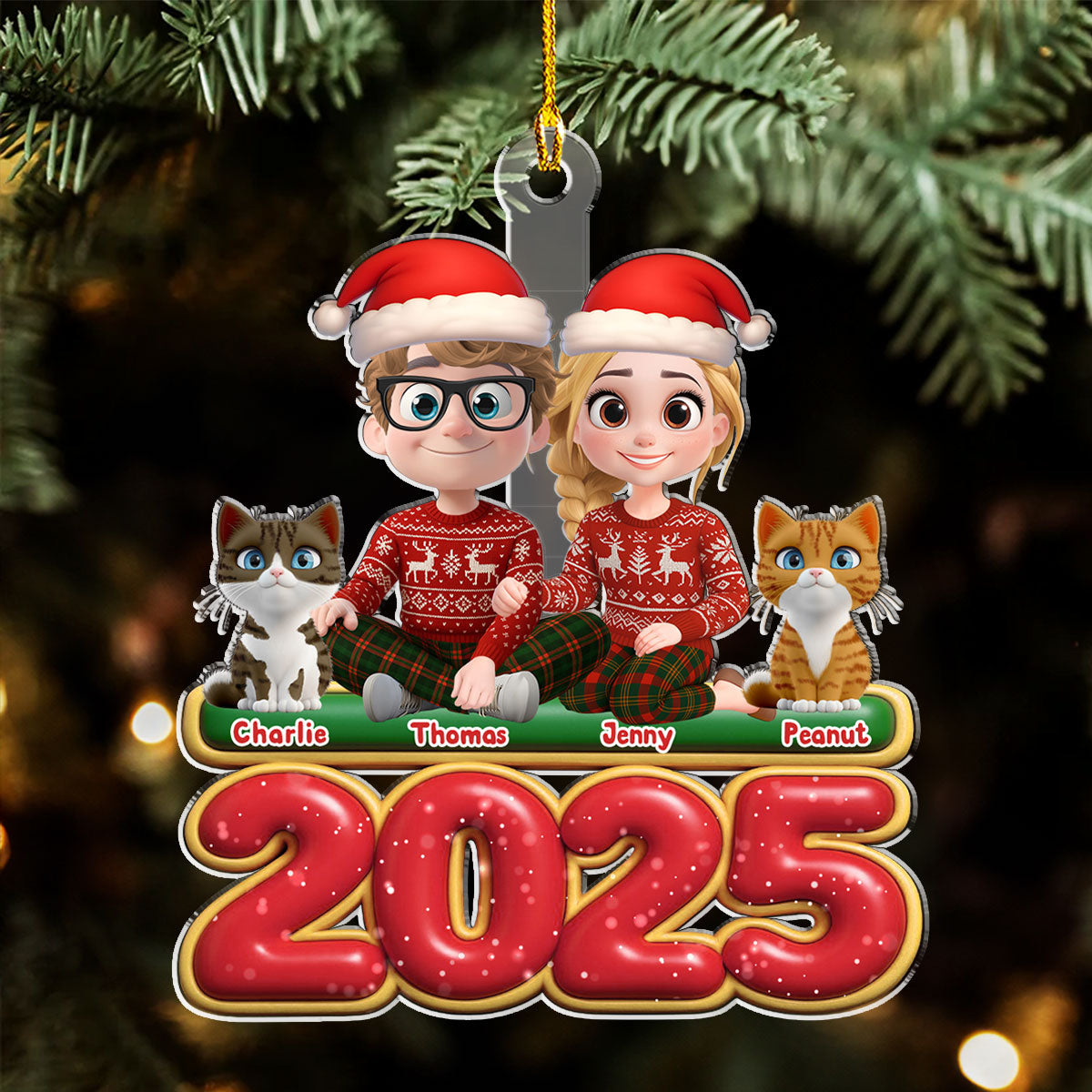 Custom Keepsake Christmas Ornament •  We And Our Cat - Personalized Acrylic Ornament