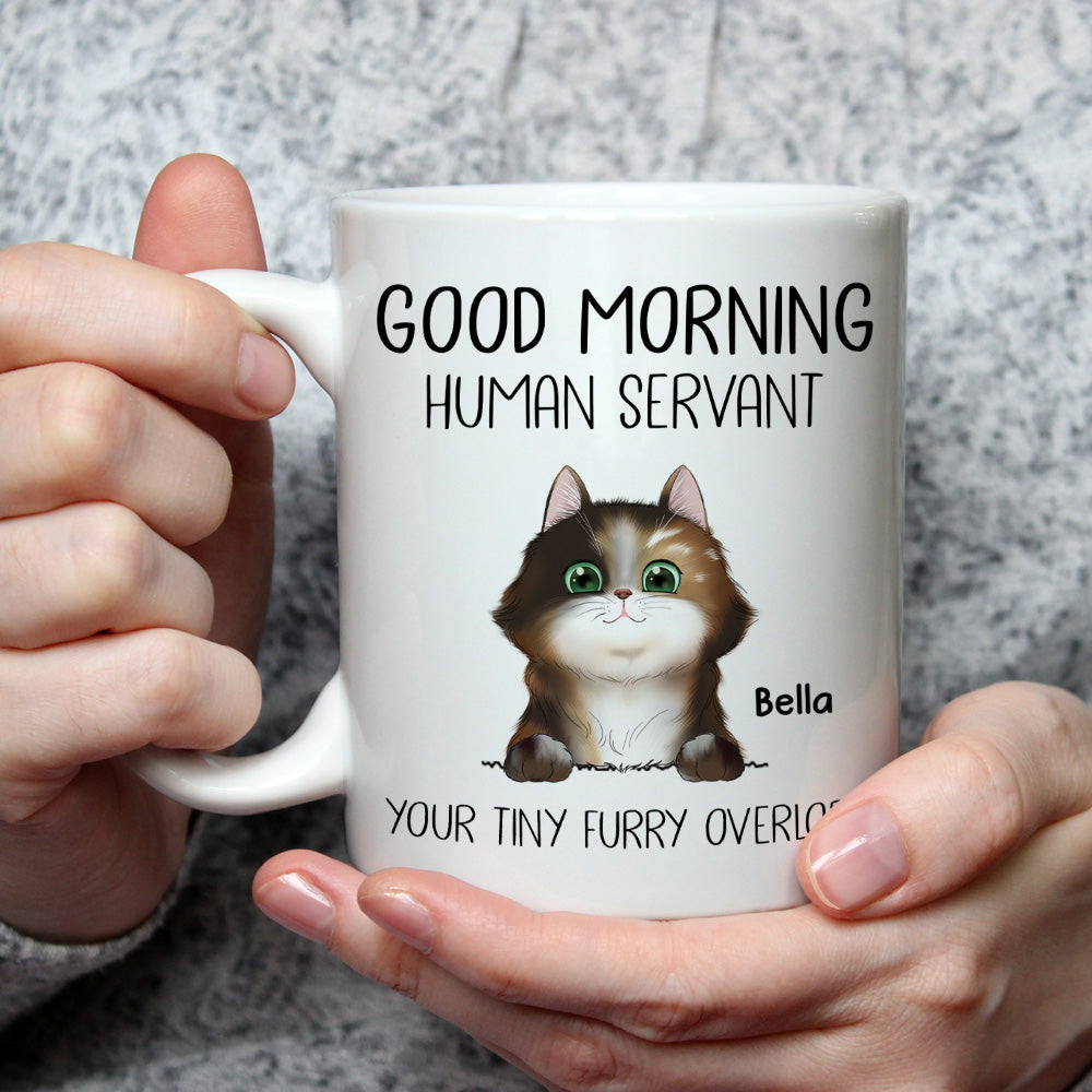 Custom Christmas & Birthday Keepsake Gift • Good Morning Human Servant - Personalized Coffee Mug