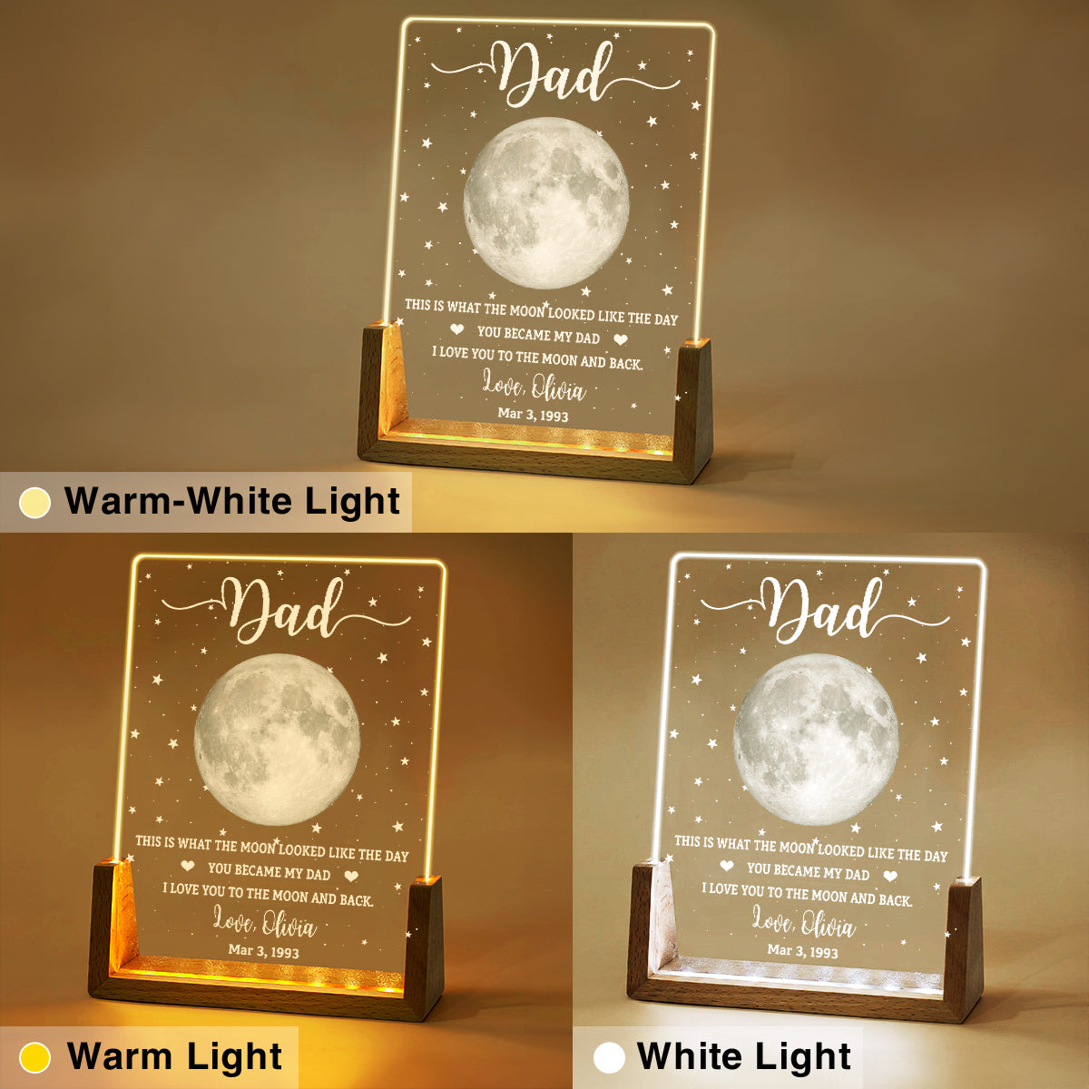 Custom Father's Day Gift for Dad Grandpa • This Is What The Moon Looked Like - Personalized Night Light