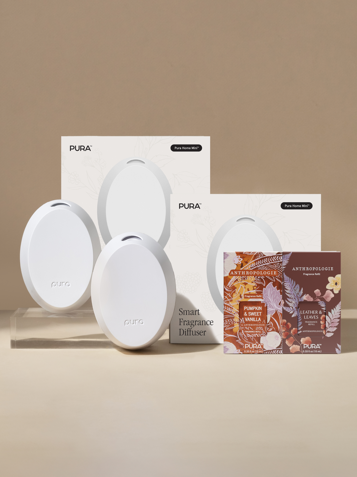 Sweet & Spiced Fall Favorites Set