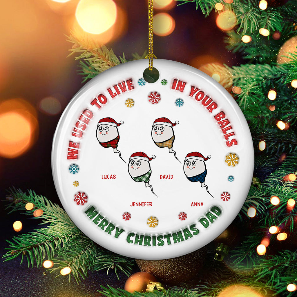 Custom Family Ornament, Christmas Gift for Family Members •  I Used To Live In Your Balls - Personalized 3D Inflated Effect Ceramic Ornament