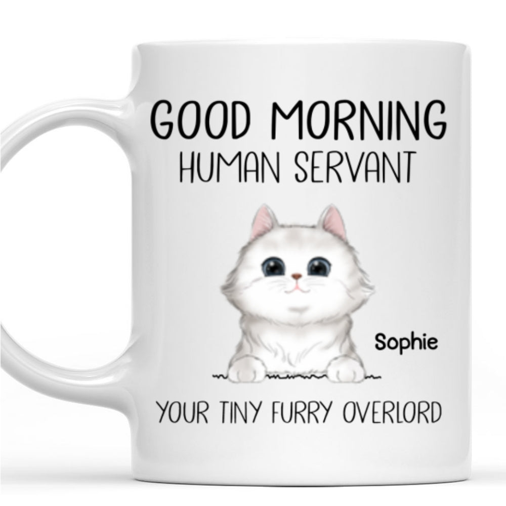 Custom Christmas & Birthday Keepsake Gift • Good Morning Human Servant - Personalized Coffee Mug