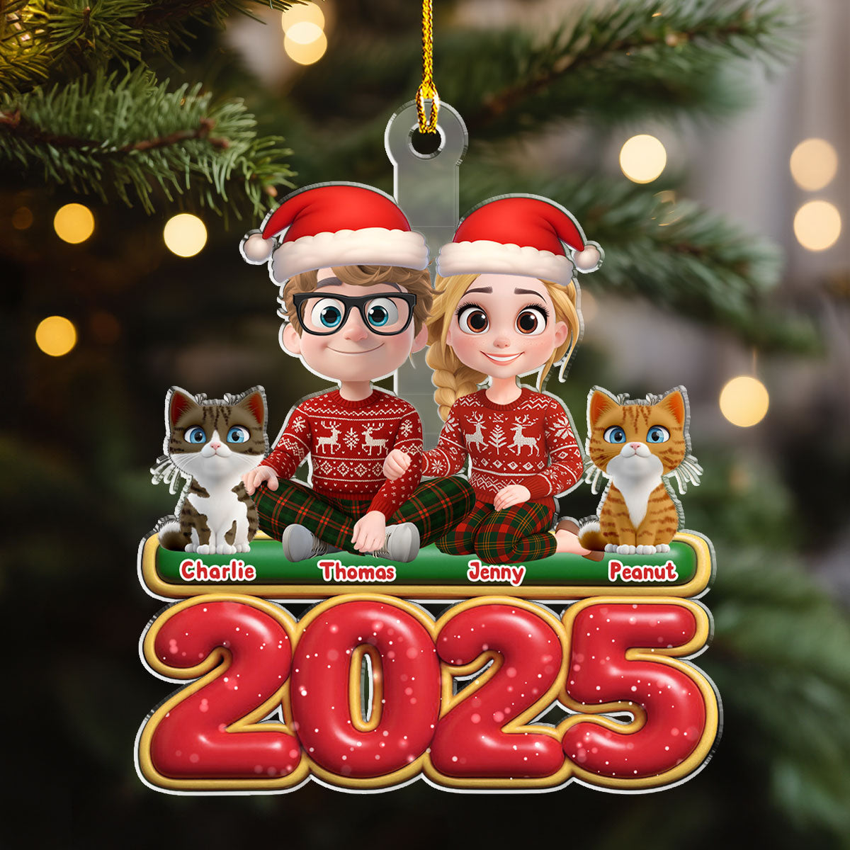 Custom Keepsake Christmas Ornament •  We And Our Cat - Personalized Acrylic Ornament