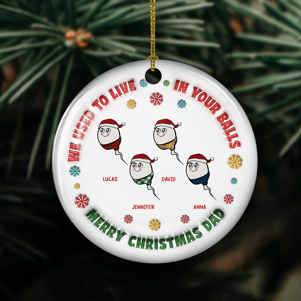 Custom Family Ornament, Christmas Gift for Family Members •  I Used To Live In Your Balls - Personalized 3D Inflated Effect Ceramic Ornament