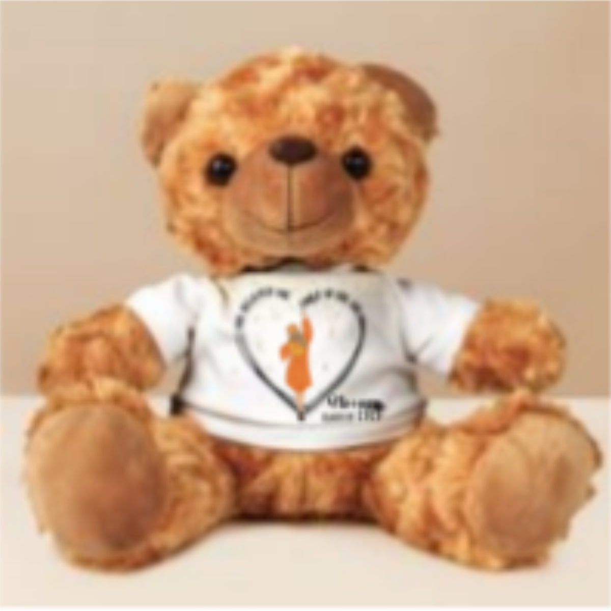 She Believed She Could So She Did - Personalized Cuddle Bear