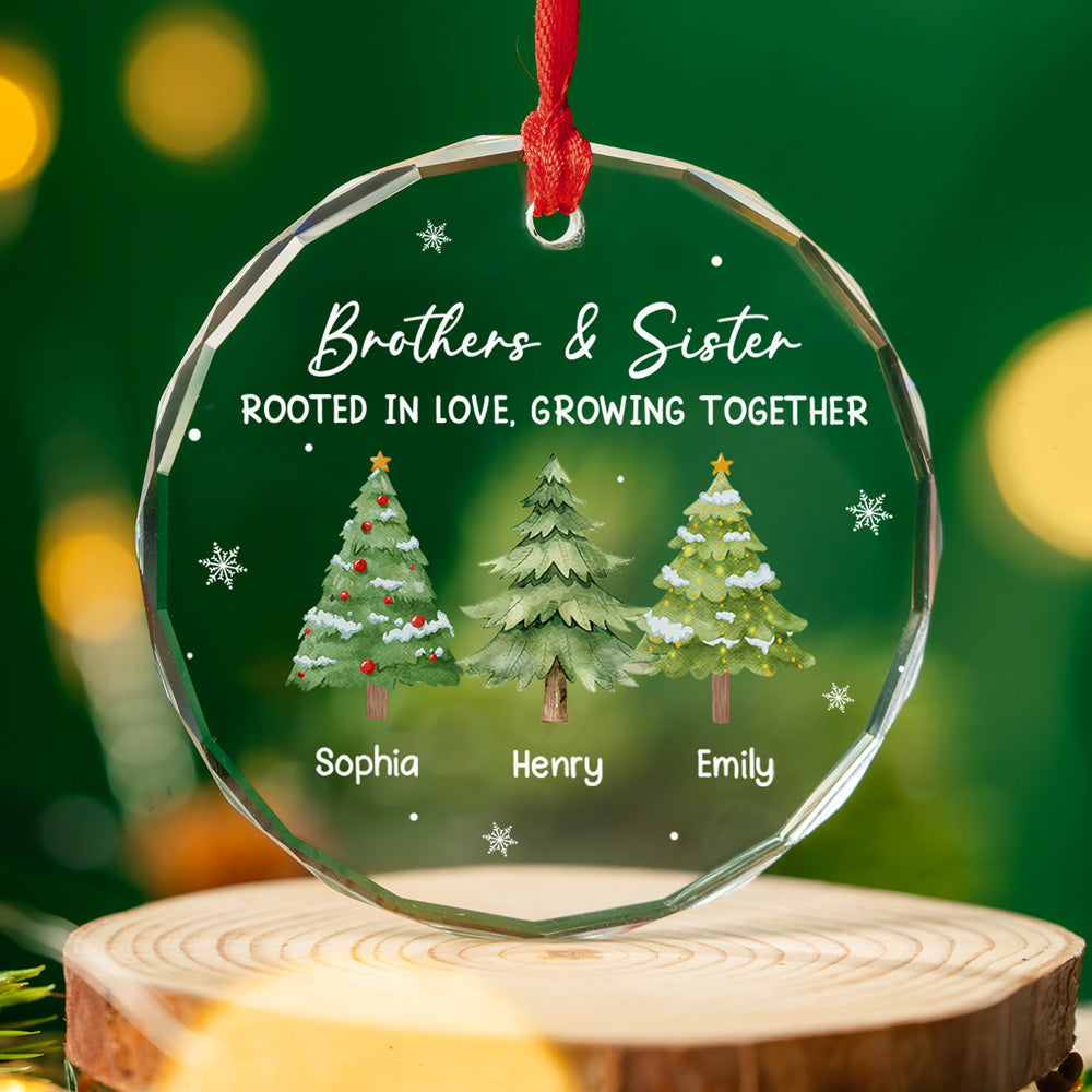 Custom Brothers & Sisters Christmas Ornament •  Love Grows Within Our Family - Personalized Glass Ornament