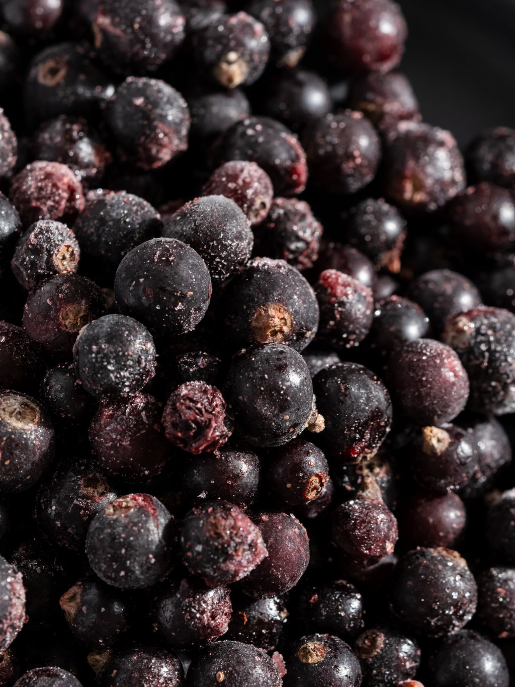 Close-up of sugared blackcurrant