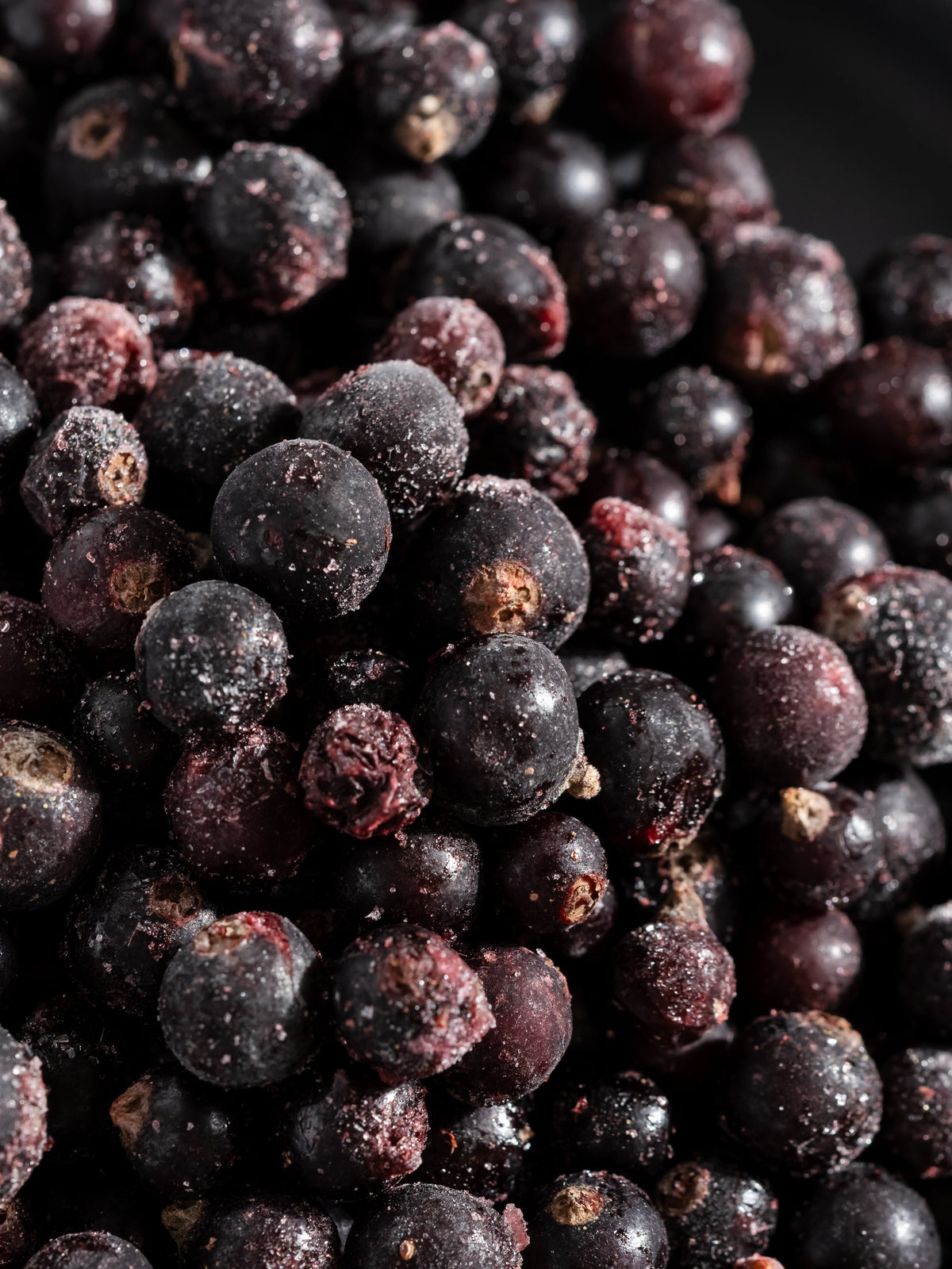 Close-up of sugared blackcurrant