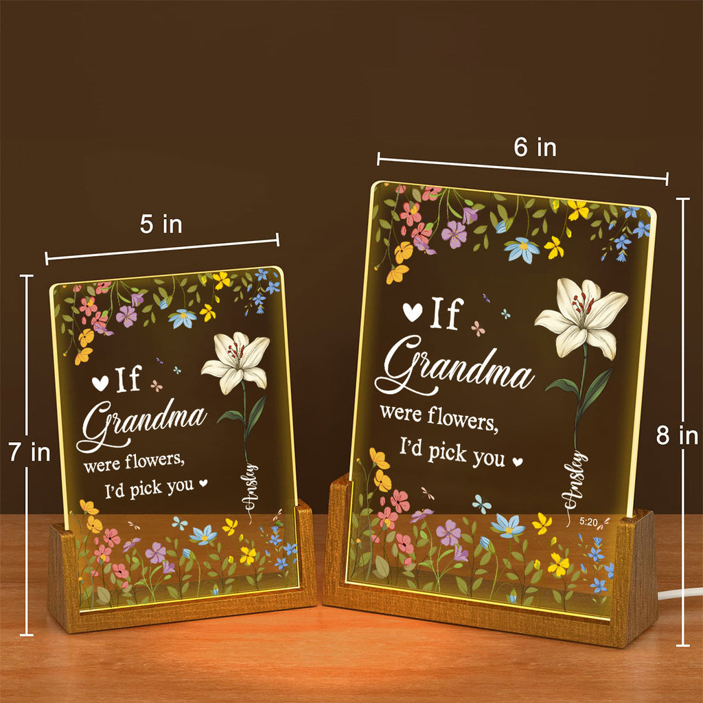 Custom Gifts for Grandma Mom Wife, Mother's Day Birthday • I Would Pick You - Personalized Night Light