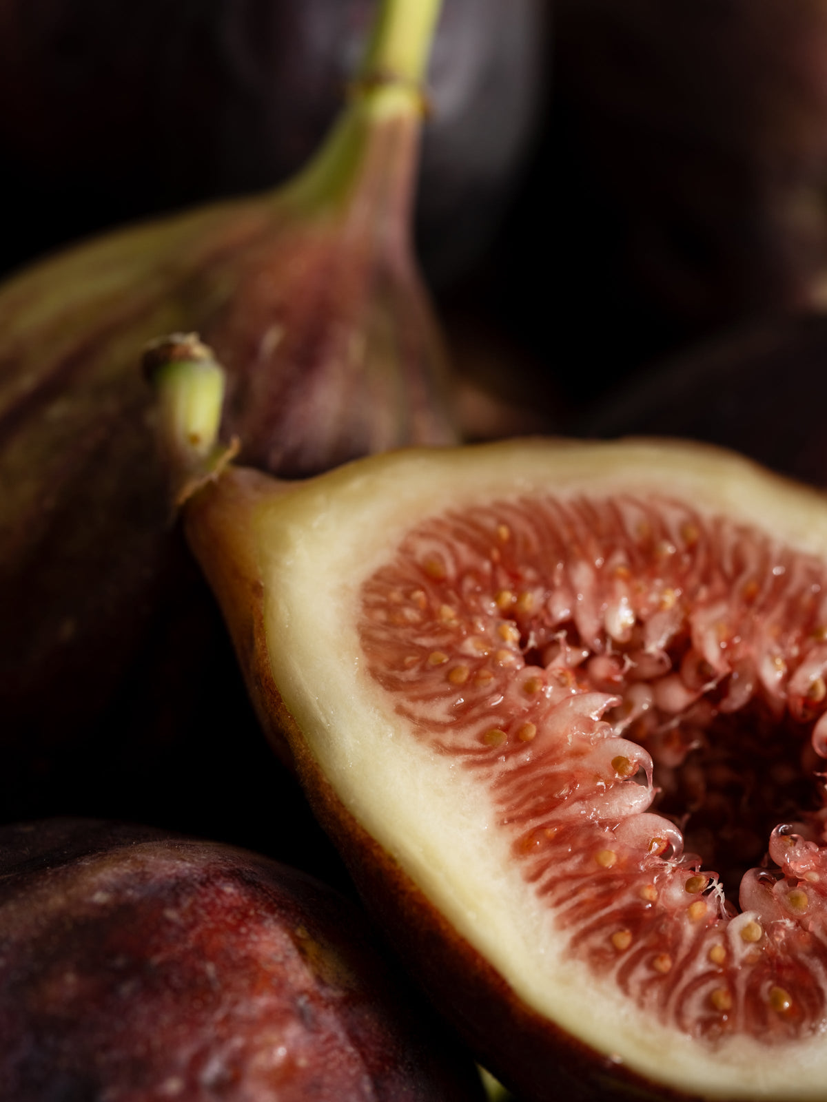 Violet Fig