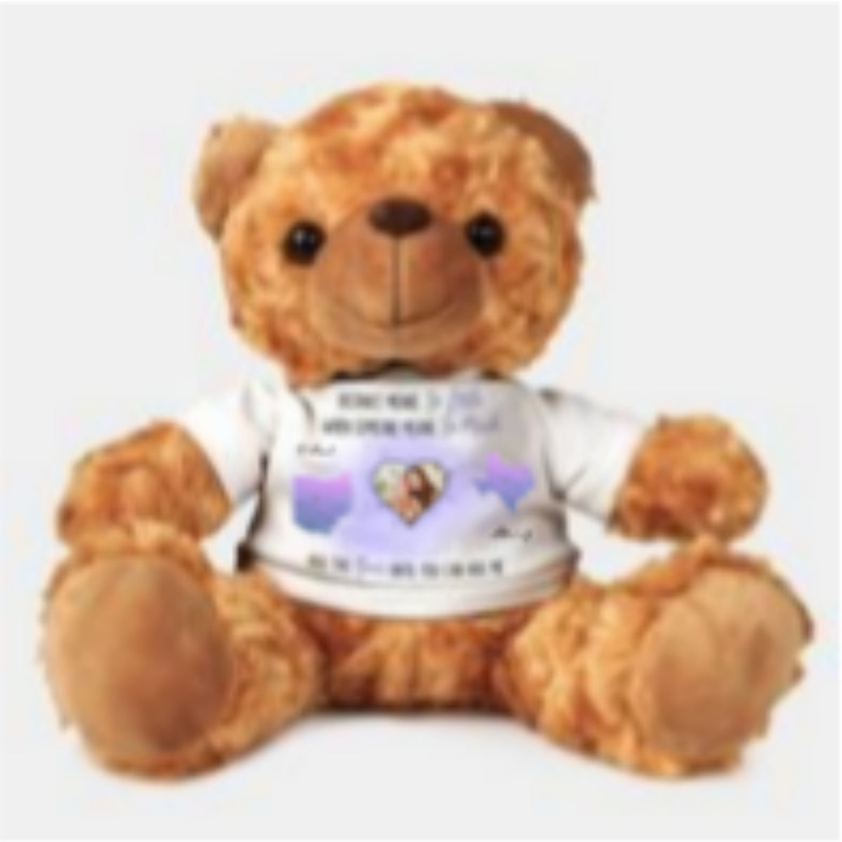 Distance Means So Little - Personalized Cuddle Bear