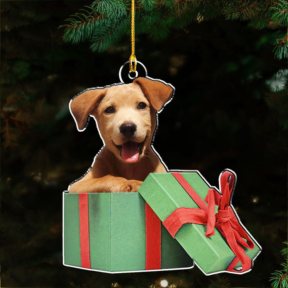 Custom Photo Family Ornament, Christmas Gift for Family Members • Special Christmas Gift - Personalized Acrylic Ornament