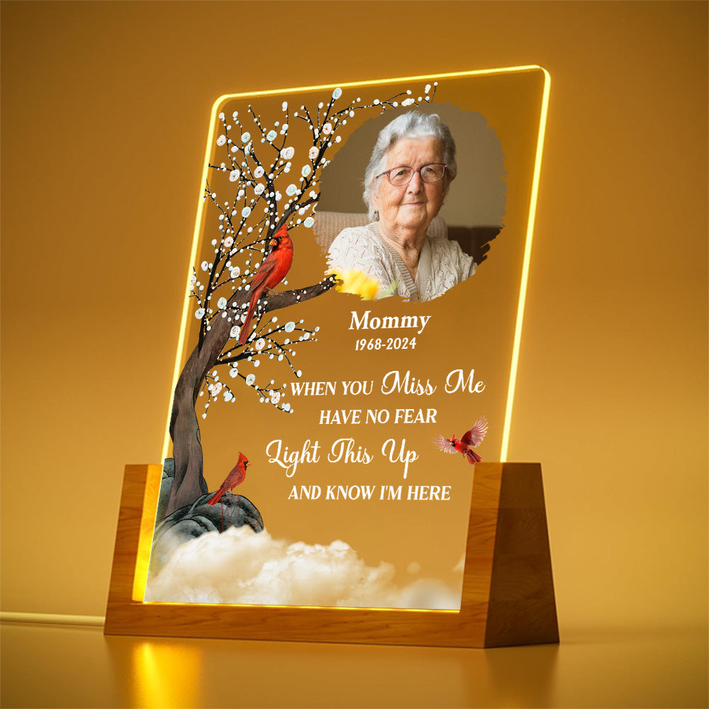 Custom Photo Memorial Gift, Sympathy Keepsake For Loved Ones • Light This Up - Personalized Night Light