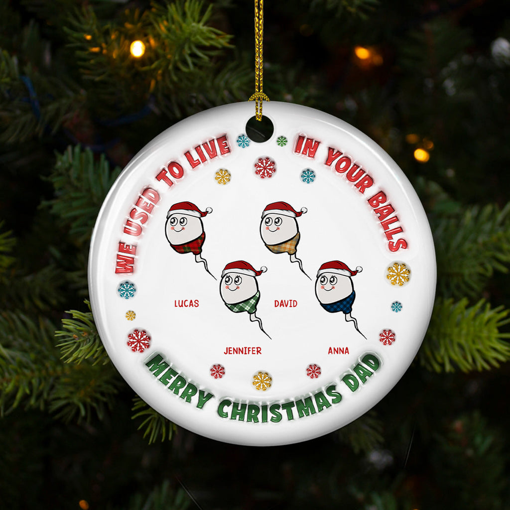 Custom Family Ornament, Christmas Gift for Family Members •  I Used To Live In Your Balls - Personalized 3D Inflated Effect Ceramic Ornament