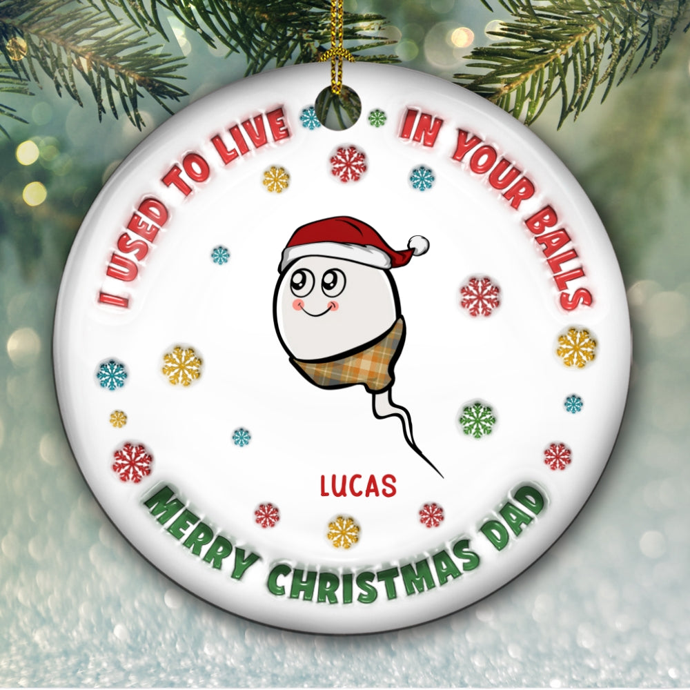 Custom Family Ornament, Christmas Gift for Family Members •  I Used To Live In Your Balls - Personalized 3D Inflated Effect Ceramic Ornament